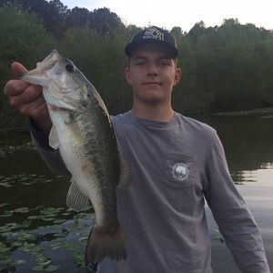 Meet your Posher, Hunter